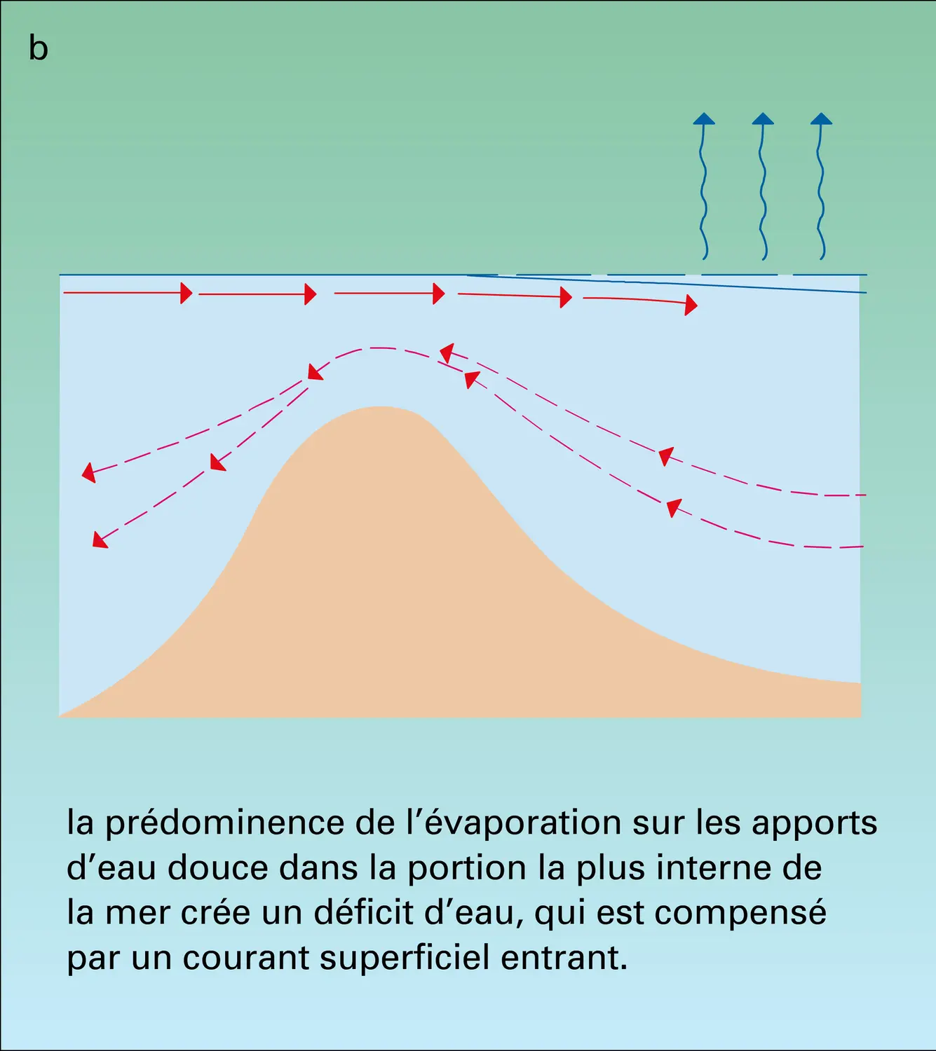 Courants de compensation - vue 2