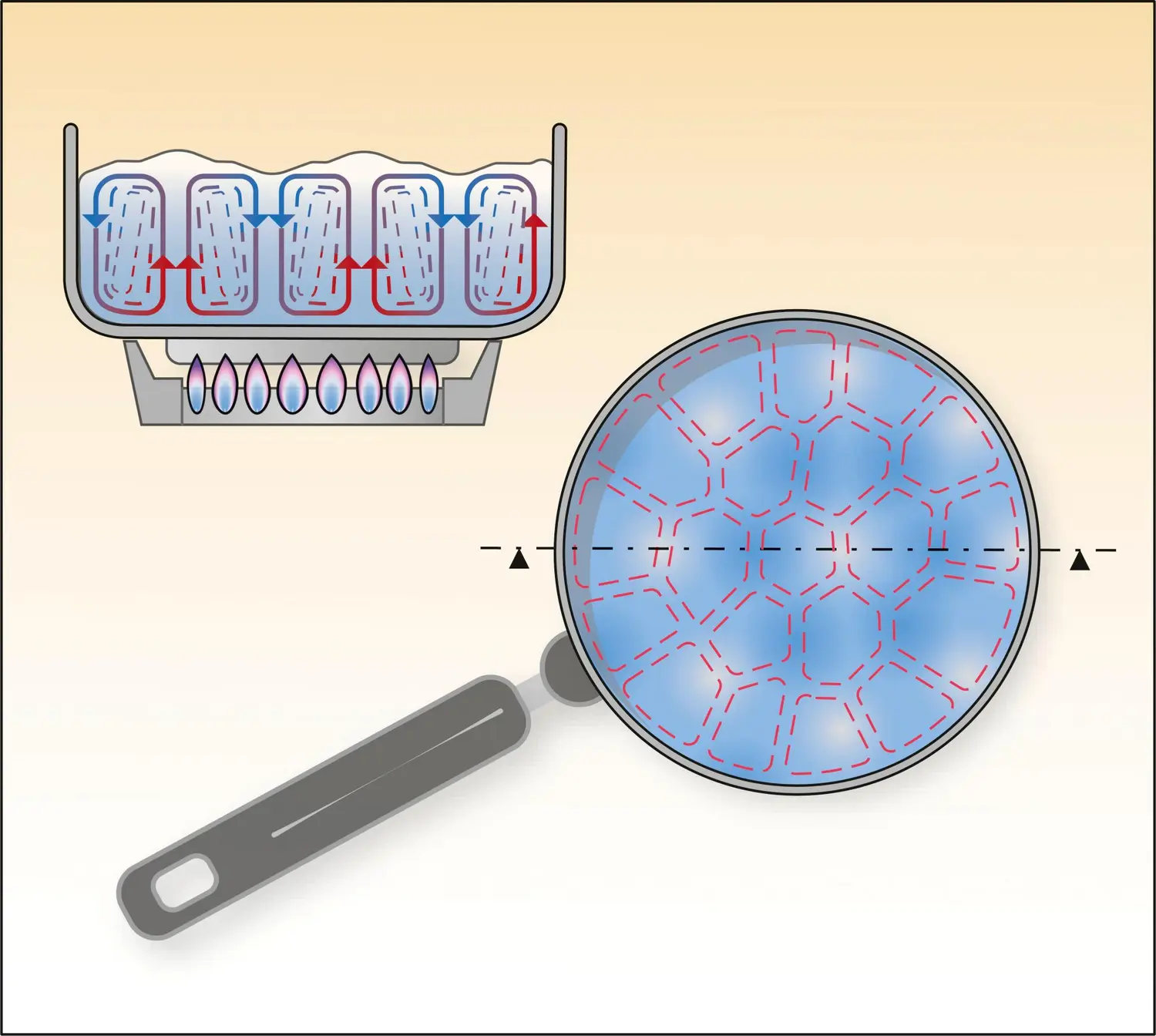 Cellules de convection de Bénard