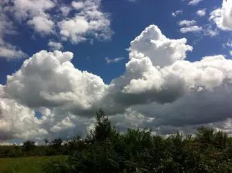 Nuages : cumulus congestus - crédits : J.-P. Chalon