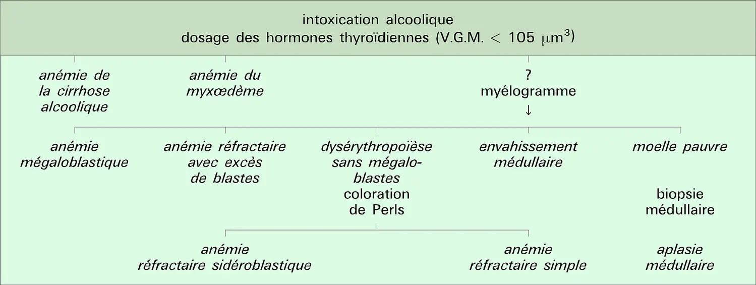 Anémie normochrome macrocytaire arégénérative