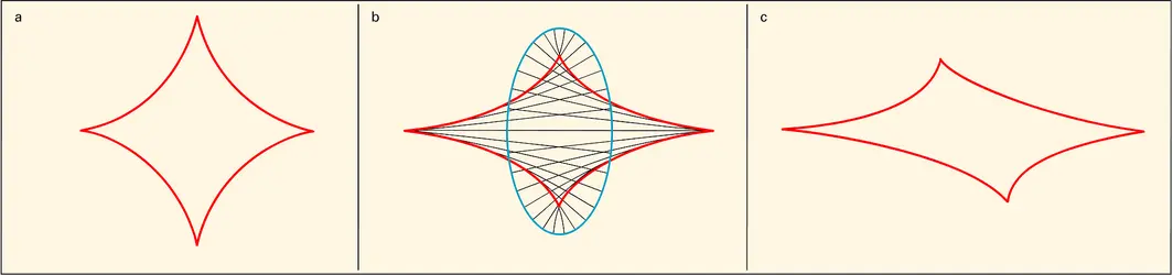 Tétracuspides - crédits : Encyclopædia Universalis France