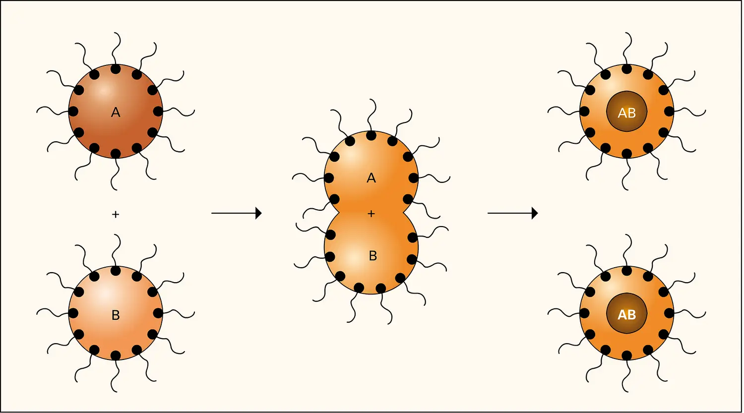 Nanoparticules : production de grains de taille homogène