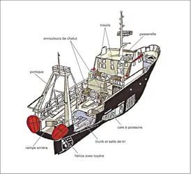 Les différents navires et techniques de pêche