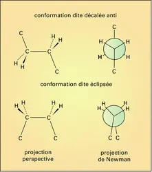 Conformations de la chaîne des alcanes linéaires - crédits : Encyclopædia Universalis France