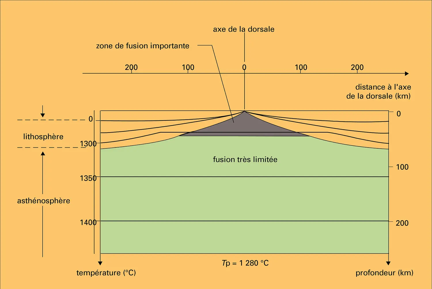 Modèle thermique