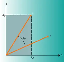 Structure et coefficients factoriels - crédits : Encyclopædia Universalis France