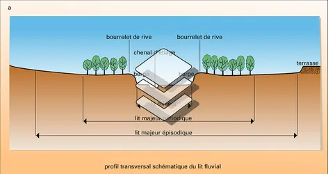 Lit fluvial - crédits : Encyclopædia Universalis France