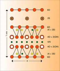 Feuillet du mica muscovite - crédits : Encyclopædia Universalis France