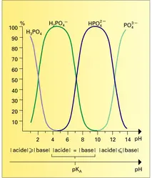 Répartition de l'acide o-phosphorique - crédits : Encyclopædia Universalis France