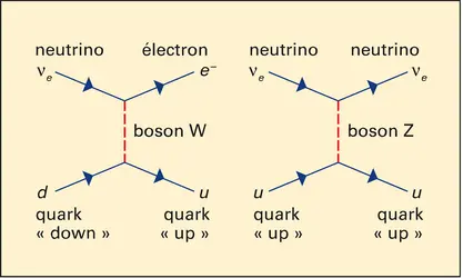 Diagramme de Feynman de l'interaction électrofaible - crédits : Encyclopædia Universalis France