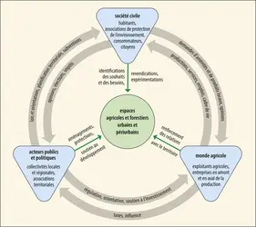 Aménagement des espaces agricoles urbains et périurbains : l’intervention conjointe de  trois groupes d’acteurs clés - crédits : Encyclopædia Universalis France