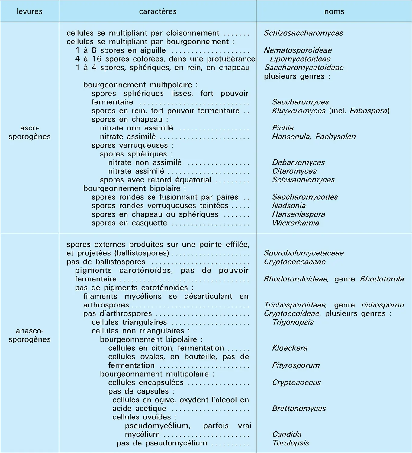 Ascosporogènes et anascosporogènes