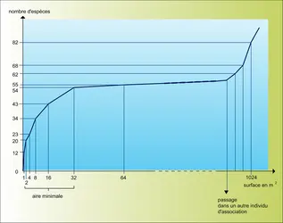 Aire minimale d'un individu d'association - crédits : Encyclopædia Universalis France