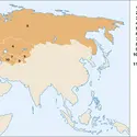 CEI (Communauté des États indépendants) - crédits : Encyclopædia Universalis France