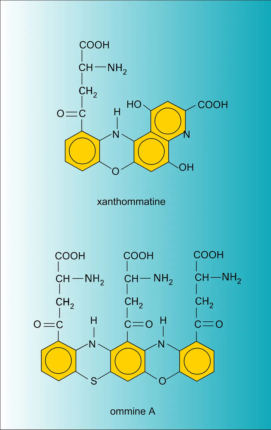 Ommochromes