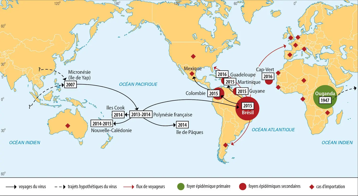 Les voyages du virus Zika