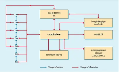 Zoo : fonctionnement d'un E.E.P. - crédits : Encyclopædia Universalis France