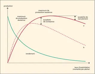 Pêche : effets sur les captures et les rendements - crédits : Encyclopædia Universalis France