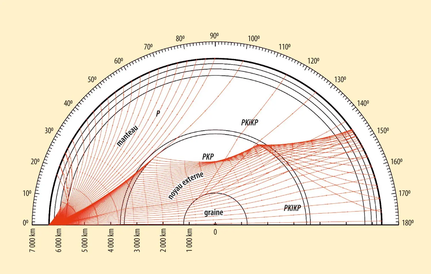 Rayons sismiques associés aux ondes de type P traversant la Terre