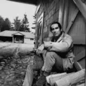 Philip Roth - crédits : Bob Peterson/ The LIFE Images Collection/ Getty Images