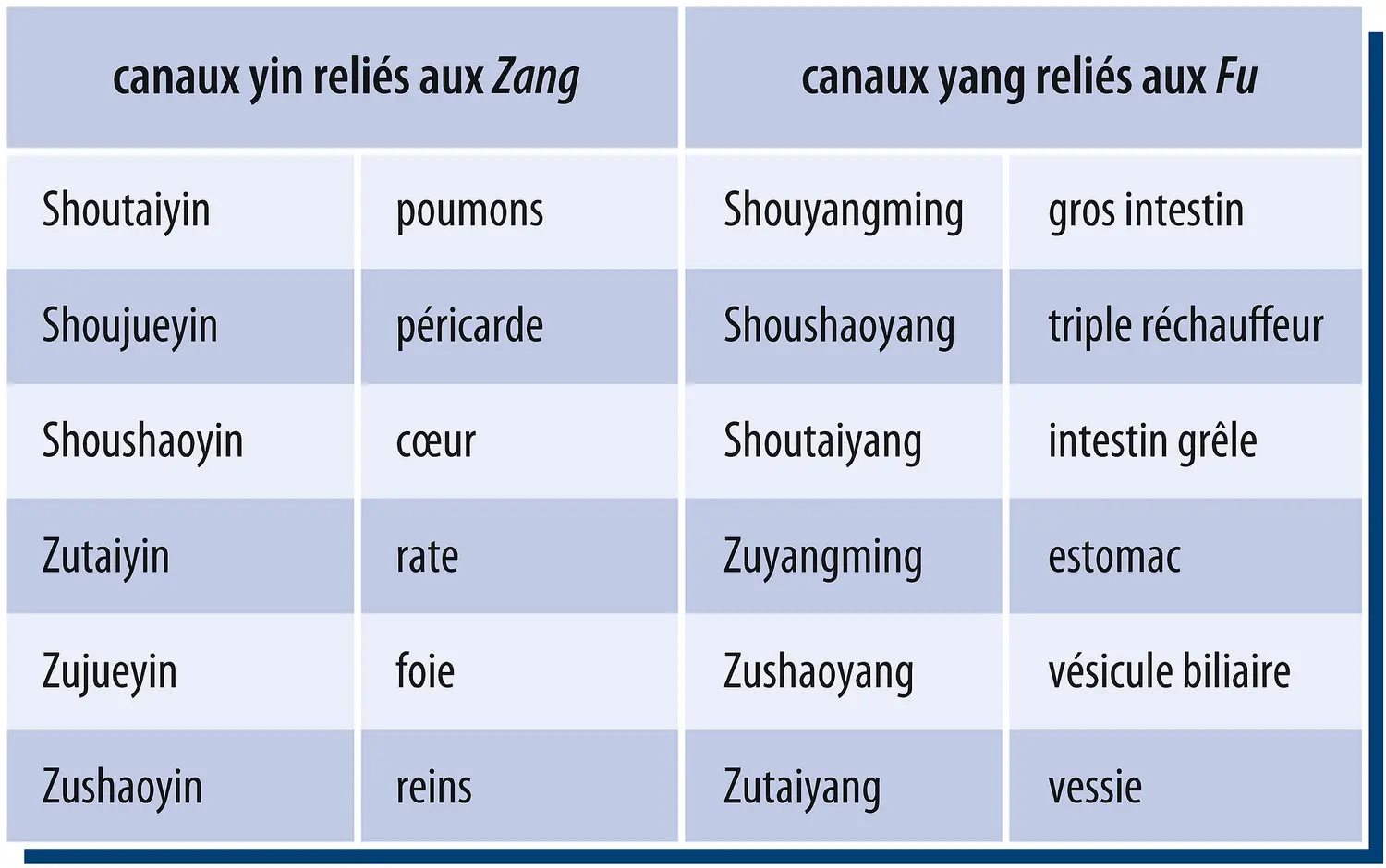 Les douze canaux (méridiens) principaux