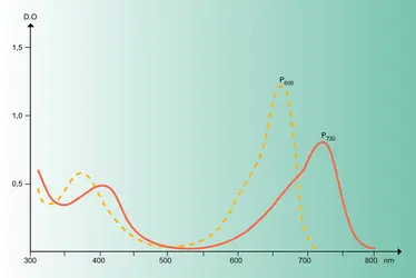 Spectres d'absorption - crédits : Encyclopædia Universalis France