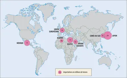 Céréales : principaux importateurs.
 - crédits : Encyclopædia Universalis France