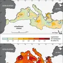 Cartes des anomalies de température de surface de la mer Méditerranée - crédits : Encyclopædia Universalis France