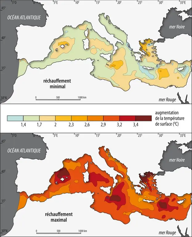Cartes des anomalies de température de surface de la mer Méditerranée