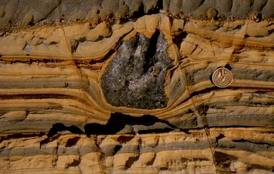 <em>Dropstone</em> glaciaire d’âge précambrien - crédits : P.F. Hoffman photo