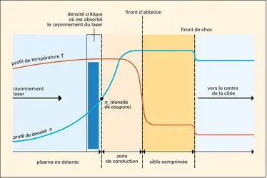 Thermonucléaire : profils de densité et de température - crédits : Encyclopædia Universalis France