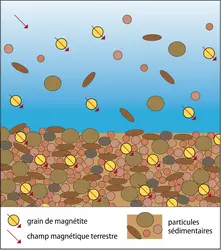 Aimantation « post-dépôt » des sédiments - crédits : Encyclopædia Universalis France