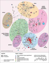 Réseaux des signatures omiques d’une fraction de l’exposome de la petite enfance - crédits : Encyclopædia Universalis France