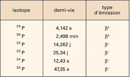 Phosphore : isotopes radioactifs - crédits : Encyclopædia Universalis France