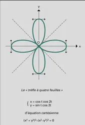 Trèfle à quatre feuilles - crédits : Encyclopædia Universalis France