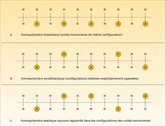 Diverses configurations des homopolymères - crédits : Encyclopædia Universalis France
