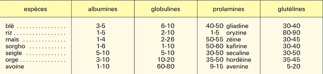 Proportion de protéines chez des céréales - crédits : Encyclopædia Universalis France