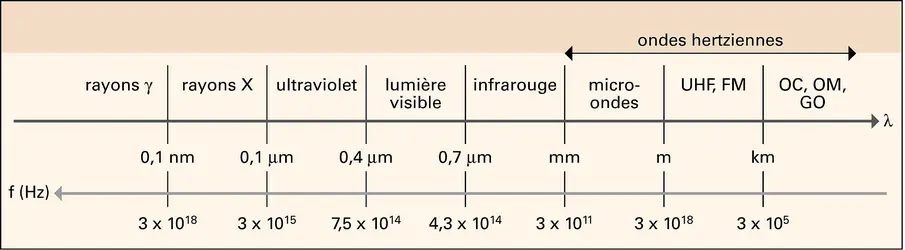 Longueurs d'onde et fréquences des radiations électromagnétiques - crédits : Encyclopædia Universalis France