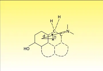 Molécule morphinique - crédits : Encyclopædia Universalis France