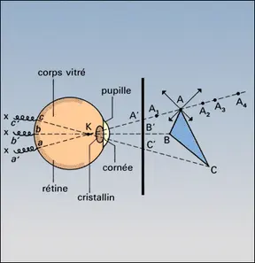 Perception visuelle d'un point