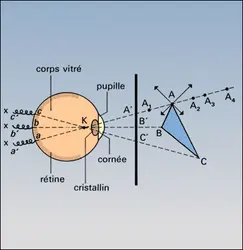 Perception visuelle d'un point - crédits : Encyclopædia Universalis France