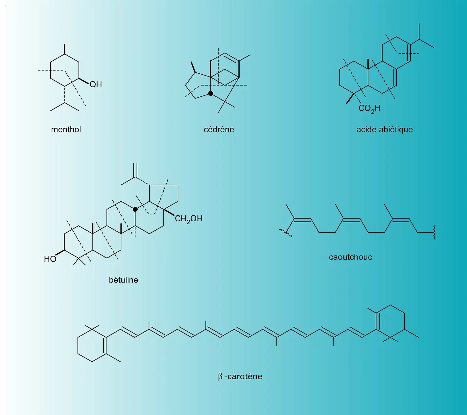 Terpénoïdes : unité structurale