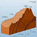 Blocs-diagrammes - crédits : Encyclopædia Universalis France