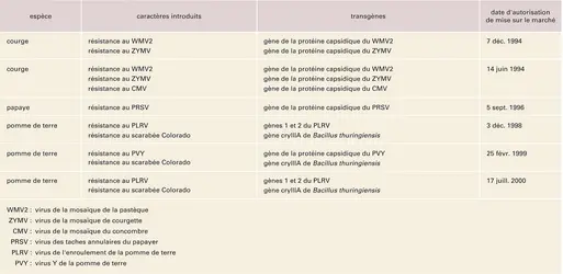 Plantes transgéniques - crédits : Encyclopædia Universalis France