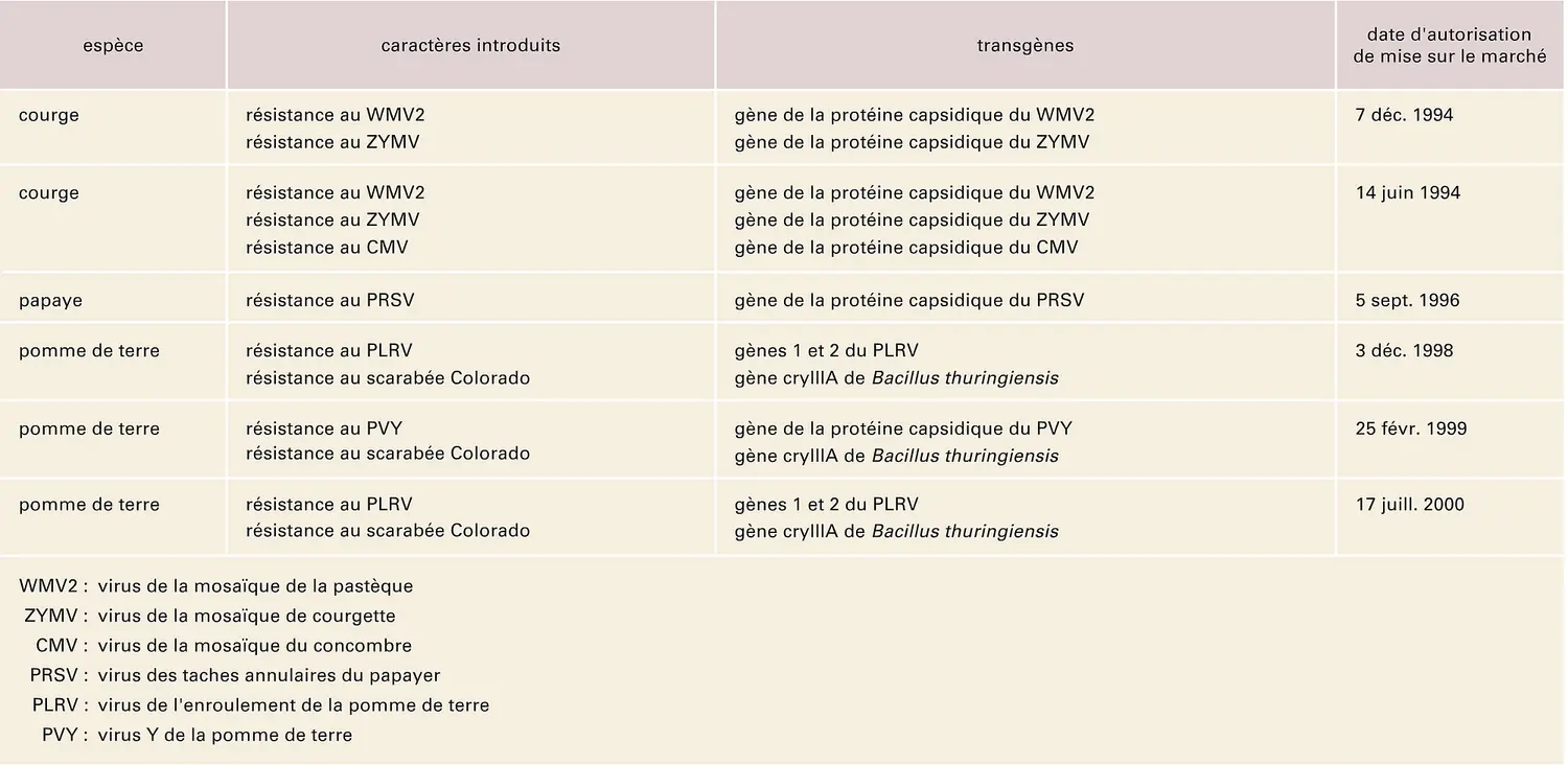 Plantes transgéniques