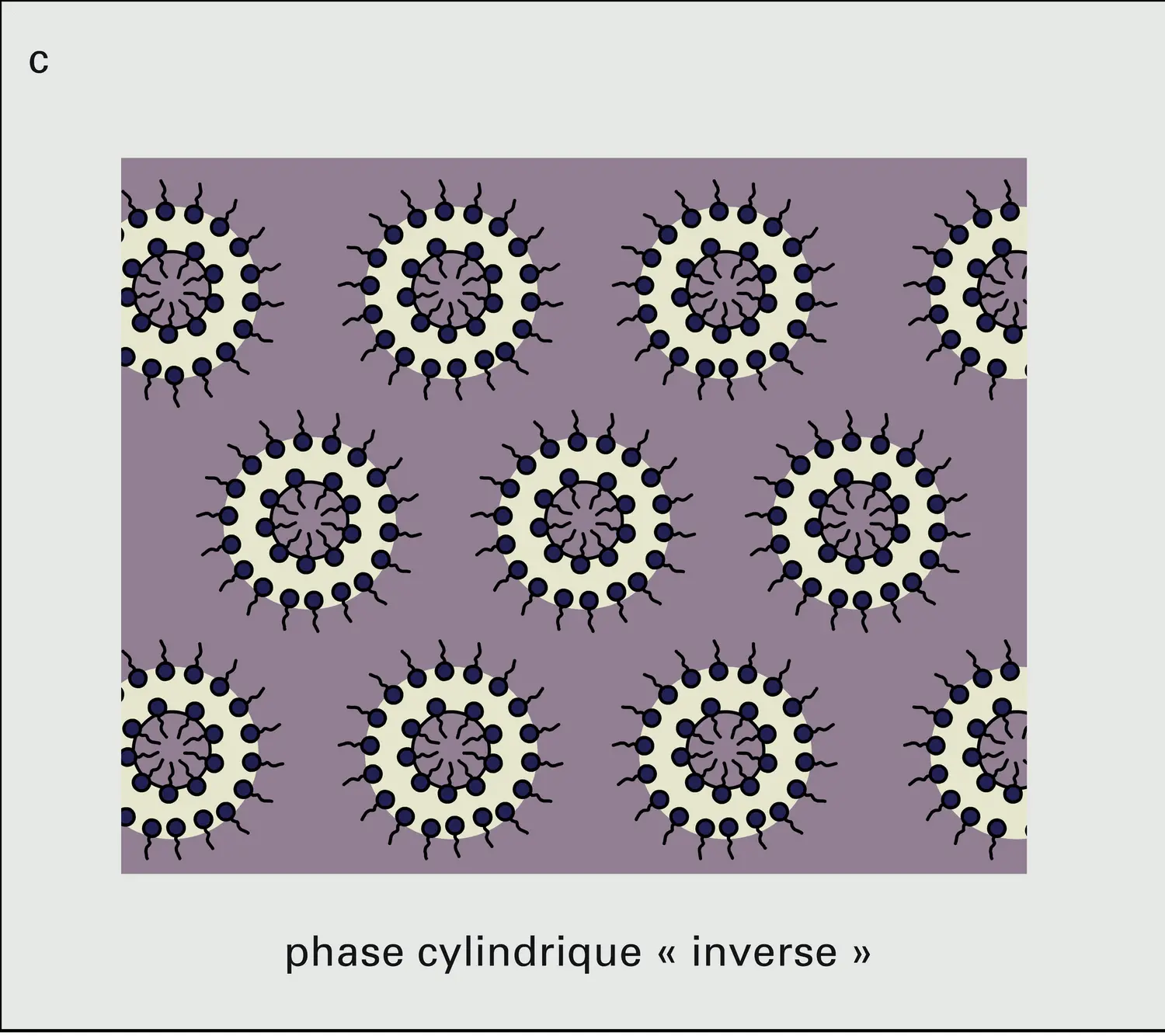 Principales phases de cristaux liquides lyotropes - vue 3