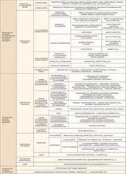 Hydrocarbures : classification - crédits : Encyclopædia Universalis France