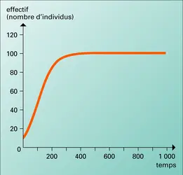 Croissance sigmoïde d'une population soumise à densité-dépendance - crédits : Encyclopædia Universalis France