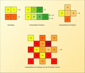 Photographie numérique : types d'interpolation - crédits : Encyclopædia Universalis France