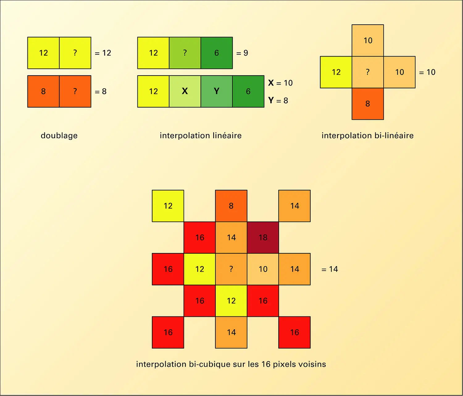 Photographie numérique : types d'interpolation